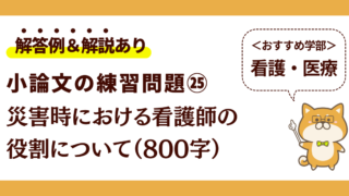 災害時における看護師の役割┃じんまる式 小論文の教室 公式note